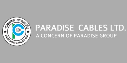 Systech Digital HRM software for Paradise Group