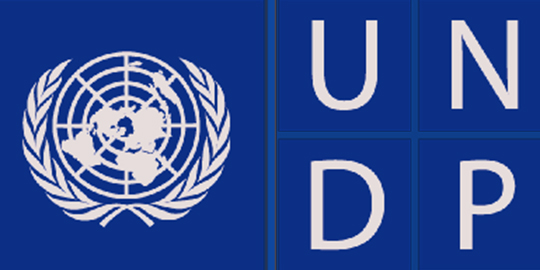 Systech Digital Successfully Completed UNDP-Ministry Data Entry Project